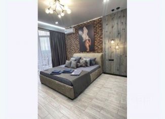 Сдам 1-комнатную квартиру, 50 м2, Ставропольский край, улица Пестова, 3