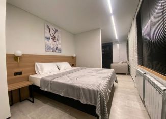 Сдается в аренду трехкомнатная квартира, 44 м2, Апатиты, улица Ленина, 2А