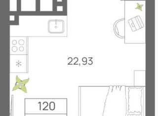 Продаю однокомнатную квартиру, 28.9 м2, Светлогорск