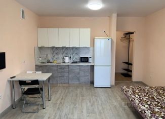 Сдаю в аренду квартиру студию, 30 м2, Республика Башкортостан, улица Асхата Мирзагитова, 10/1