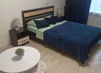 Сдача в аренду 1-комнатной квартиры, 30 м2, Энгельс, улица Колотилова, 68