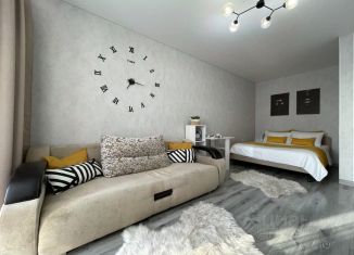 Сдача в аренду 1-комнатной квартиры, 36 м2, Республика Башкортостан, улица Чапаева, 10