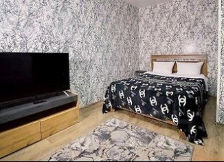 1-комнатная квартира в аренду, 35 м2, Мурманск, переулок Русанова, 2
