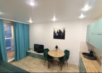 Сдам в аренду однокомнатную квартиру, 40 м2, Омск, бульвар М.М. Кузьмина, 27