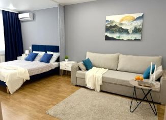 Сдам в аренду 1-ком. квартиру, 40 м2, Томская область, улица Мичурина, 8А