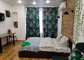 Сдача в аренду квартиры студии, 25 м2, Воронеж, улица Моисеева, 9Б, Ленинский район