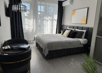 Сдается 1-ком. квартира, 22 м2, Ярославль, улица Городской Вал, 5, Кировский район