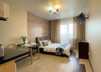 Сдам в аренду 1-комнатную квартиру, 30 м2, Барнаул, проспект Строителей, 18, Железнодорожный район