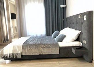 Сдам в аренду 1-ком. квартиру, 30 м2, Барнаул, улица Чкалова, 66, Центральный район