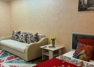 Сдам в аренду однокомнатную квартиру, 53 м2, Камышин, 5-й микрорайон, 70