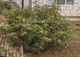 Продается дом, 130 м2, Крым, Новая улица