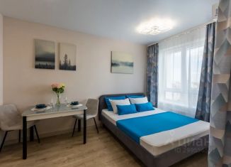 Квартира в аренду студия, 30 м2, Уфа, Кировский район, Кустарная улица, 19