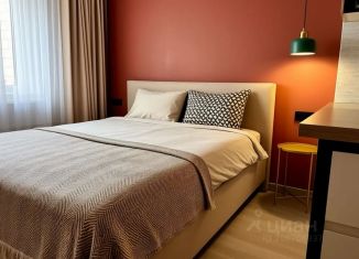 Сдам в аренду квартиру студию, 30 м2, Владимирская область, проспект Строителей, 9А
