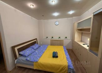 Аренда однокомнатной квартиры, 33 м2, Мурманск, улица Шмидта, 45