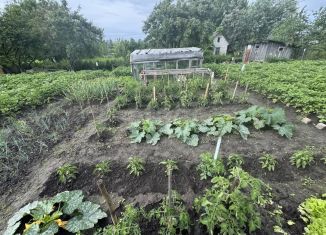 Продам земельный участок, 6 сот., Брянская область