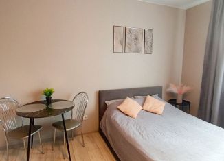 Аренда квартиры студии, 30 м2, Пермь, Мотовилихинский район, улица Анри Барбюса, 43к3