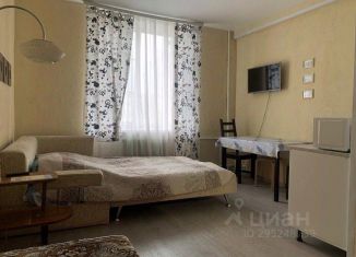 Аренда однокомнатной квартиры, 20 м2, Тульская область, проспект Ленина, 24