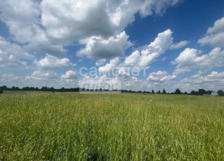 Продажа земельного участка, 12 сот., село Богашёво, село Богашёво, 13