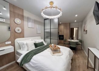 Квартира в аренду студия, 30 м2, Самара, Рабочая улица, 43, метро Российская