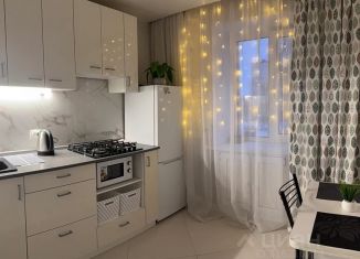 Сдается в аренду 1-комнатная квартира, 35 м2, Кольчугино, улица Веденеева, 2А