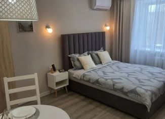 Аренда квартиры студии, 25 м2, Уфа, улица Мингажева, 156, Советский район