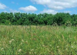 Продажа земельного участка, 30 сот., Пензенская область