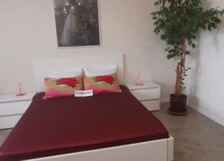 Сдача в аренду квартиры студии, 50 м2, Самара, Московское шоссе, 272, Промышленный район