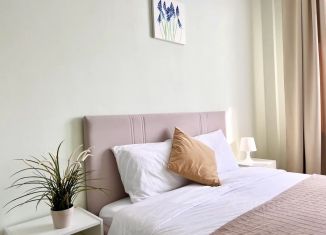 1-комнатная квартира в аренду, 49 м2, Иркутск, улица Седова, 65А/2