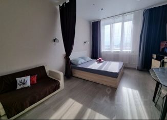 Сдаю в аренду однокомнатную квартиру, 31 м2, Пермь, улица Куйбышева, 109А
