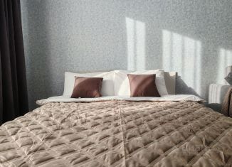 Сдам 1-комнатную квартиру, 42 м2, Самара, 1-й квартал, 69, метро Советская