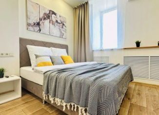 Сдаю однокомнатную квартиру, 27 м2, Пермь, улица Куйбышева, 109А, Свердловский район