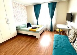 Сдаю квартиру студию, 26 м2, Томск, улица Савиных, 4А, Кировский район