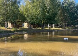Аренда дома, 15 м2, Пензенская область, Зелёная улица, 9А