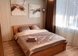 Сдаю в аренду квартиру студию, 32 м2, Томская область, улица Матросова, 3