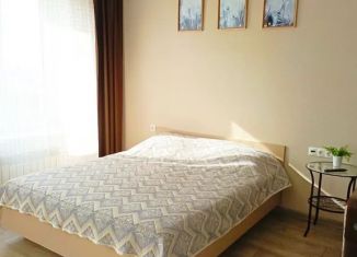 Сдается в аренду квартира студия, 35 м2, Иркутск, улица Красных Мадьяр, 14/2, Октябрьский округ