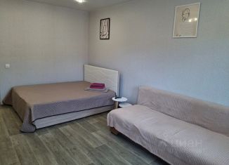 Сдаю 1-комнатную квартиру, 50 м2, Иркутск, улица Лермонтова, 1, Свердловский округ