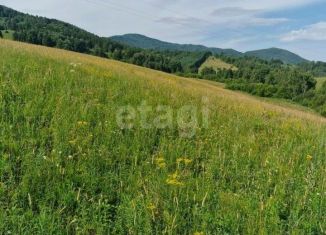 Продажа участка, 2951.9 сот., Алтайский край