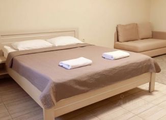 Сдам 1-ком. квартиру, 55 м2, Ставропольский край, улица Бунимовича, 78