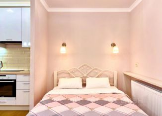 Сдаю в аренду 1-ком. квартиру, 30 м2, Республика Башкортостан, бульвар Давлеткильдеева, 18