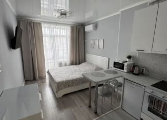Сдается квартира студия, 25 м2, Уфа, улица Чапаева, 10, Кировский район