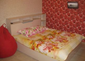Сдается 1-ком. квартира, 27 м2, Ставропольский край, улица Гагарина, 58