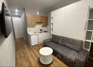 Аренда 1-ком. квартиры, 23 м2, Тула, улица Сойфера, 16В