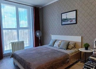 Сдача в аренду однокомнатной квартиры, 35 м2, Белгород, улица Попова, 37Г