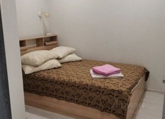 Сдам в аренду 2-комнатную квартиру, 41 м2, Самара, улица Потапова, 78В, метро Спортивная