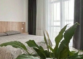 Сдача в аренду 1-комнатной квартиры, 23 м2, Томская область, улица Яковлева, 15