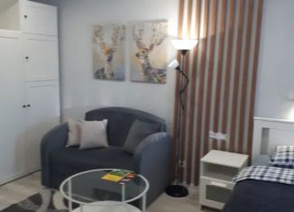 Квартира в аренду студия, 30 м2, Мурманск, улица Шмидта, 45, Октябрьский округ