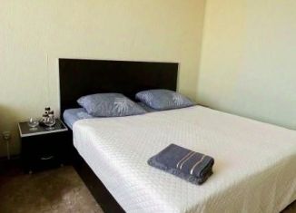 Аренда 1-ком. квартиры, 43 м2, Оренбург, улица Терешковой, 10/7