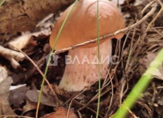 Продаю земельный участок, 10 сот., Владимирская область, СНТ Менчаково-2, 308