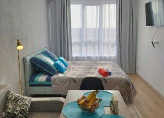 Однокомнатная квартира в аренду, 32 м2, Тверь, Московский район, улица Левитана, 97А