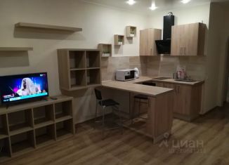 Сдаю в аренду квартиру студию, 30 м2, Уфа, улица Рудольфа Нуреева, 6, Октябрьский район